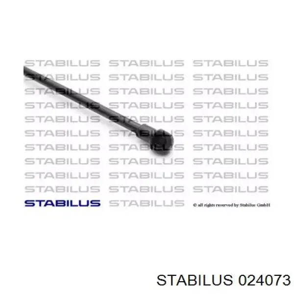 Амортизатор двері задньої Stabilus 024073 ціна, від 9.67 USD
