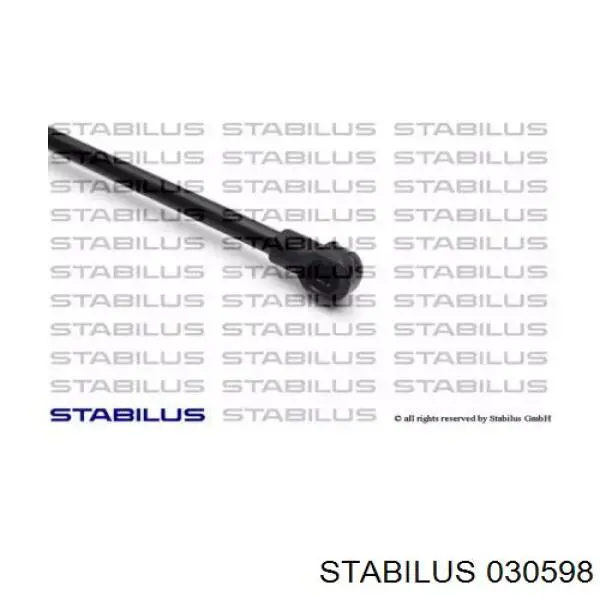 Купити 030598 Stabilus Амортизатор двері багажника