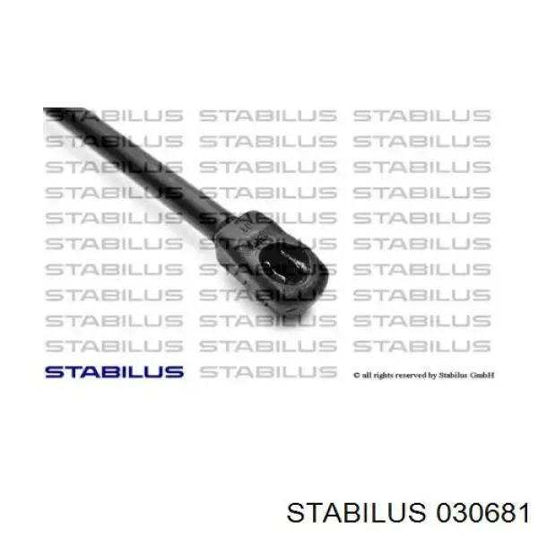 Купити 030681 Stabilus Амортизатор двері багажника