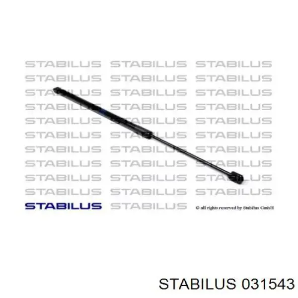 Амортизатор двері задньої Stabilus 031543 ціна, від 9.92 USD