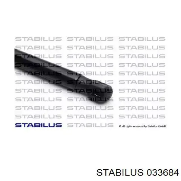  033684 Stabilus