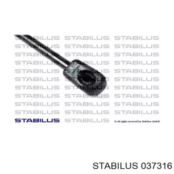  037316 Stabilus