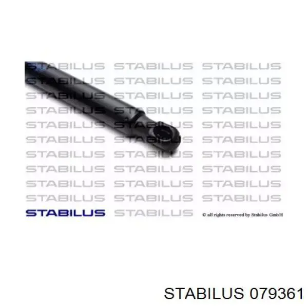 Амортизатор двері задньої Lesjofors 8104264 ціна, від 7.39 USD
