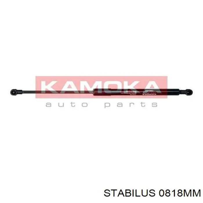 Амортизатор двері задньої Stabilus 0818MM ціна, від 7.48 USD