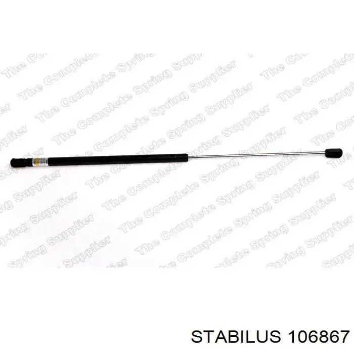 Амортизатор двері задньої Stabilus 106867 ціна, від 12.65 USD