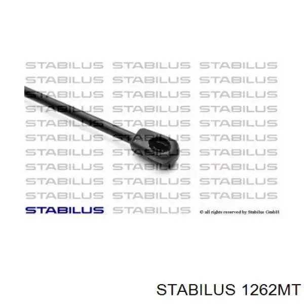 Амортизатор двері задньої Magneti Marelli 430719102500 ціна, від 14.14 USD