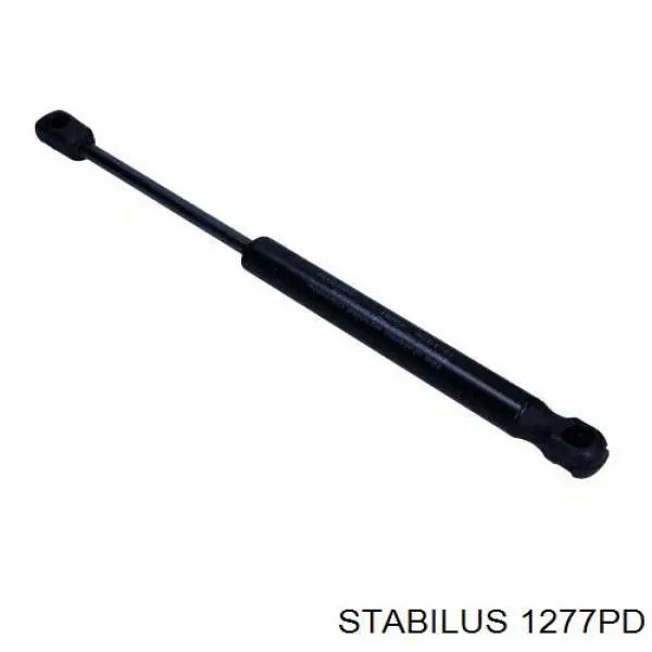 Амортизатор двері задньої Magneti Marelli 430719077600 ціна, від 9.75 USD