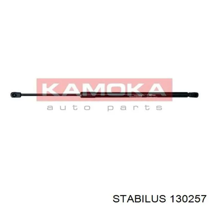ZSA90041 Ashika Амортизатор кришки багажника / двері 3/5-ї задньої