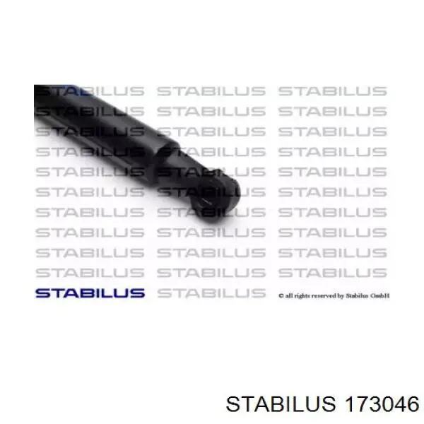 Амортизатор двері задньої Stabilus 173046 ціна, від 13.36 USD
