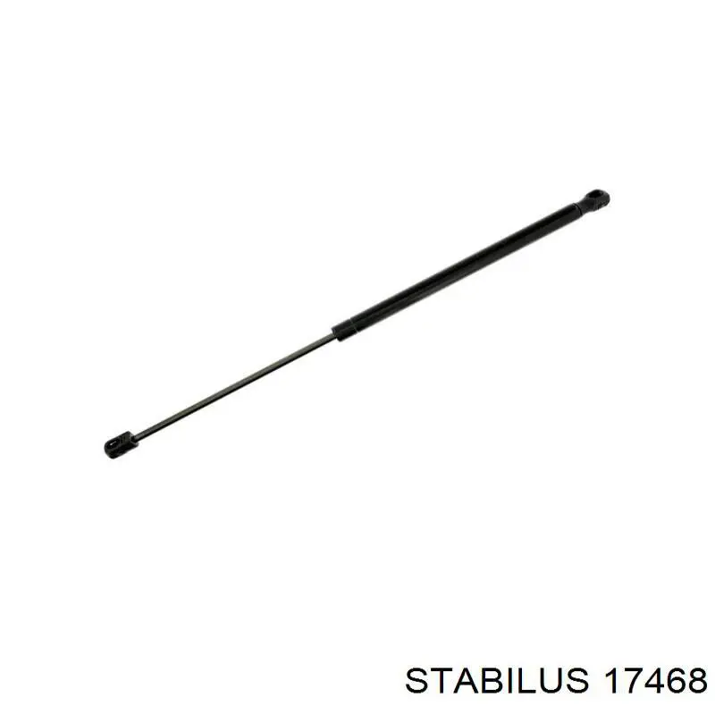 Амортизатор двері задньої Stabilus 17468 ціна, від 11.99 USD
