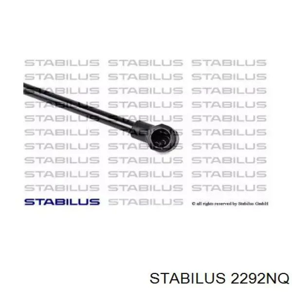 Купити 7700430022 Renault (RVI) Амортизатор скла задніх, 3/5-ї двері (ляди)