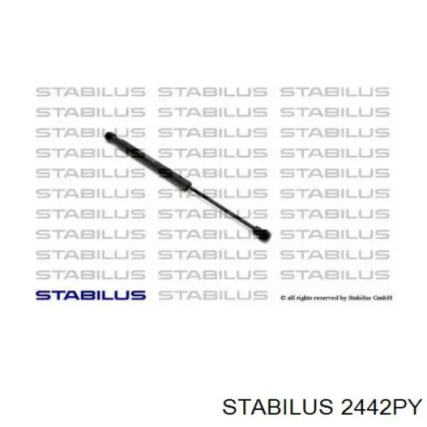 Амортизатор багажника GS0177 Magneti Marelli