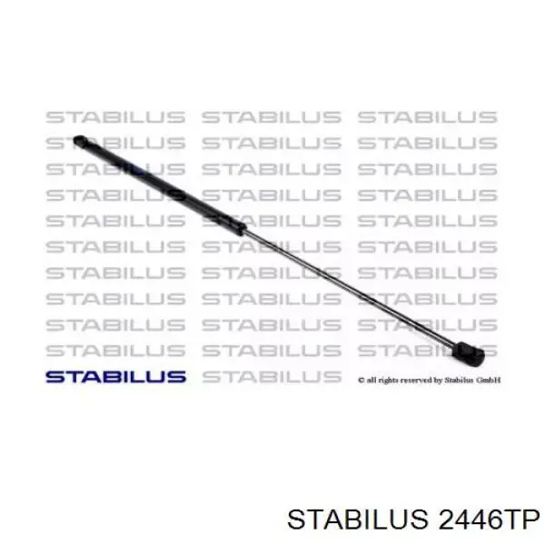 Амортизатор двері задньої Magneti Marelli 430719024700 ціна, від 18.95 USD