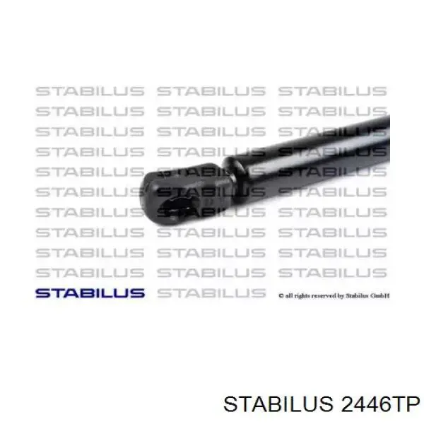 Амортизатор багажника 430719024700 Magneti Marelli