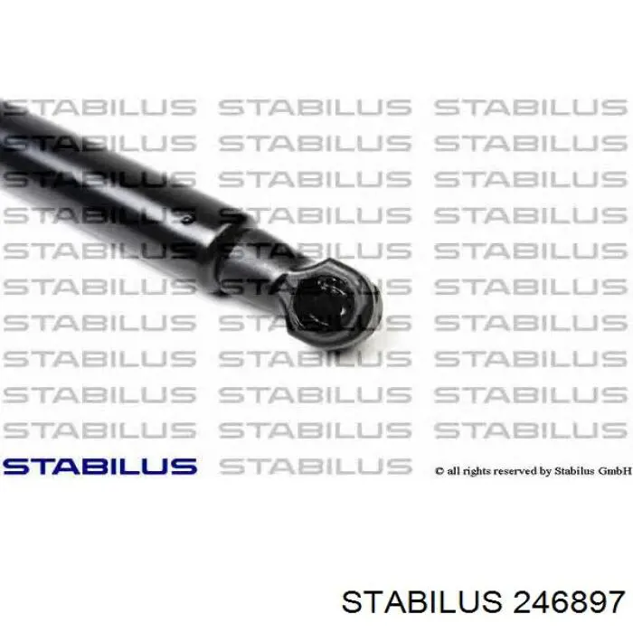 Купити C2Z2615 Jaguar Амортизатор двері багажника