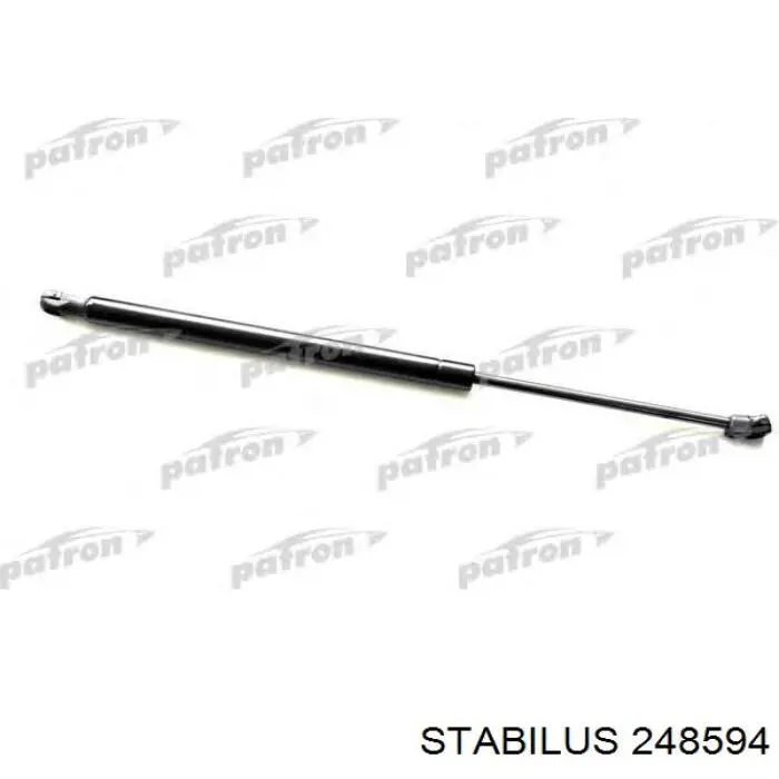 Купити 248594 Stabilus Амортизатор двері багажника