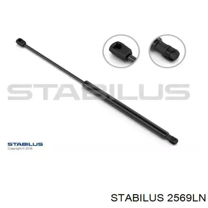 Купити 2569LN Stabilus Амортизатор двері багажника