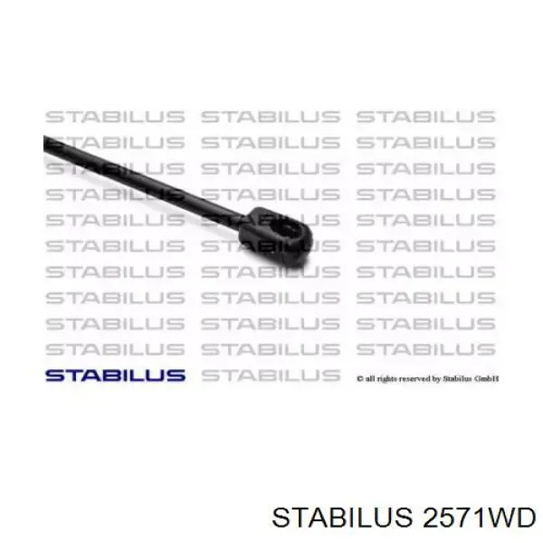  2571WD Stabilus