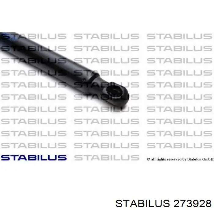 Амортизатор двері задньої Stabilus 273928 ціна, від 13.43 USD