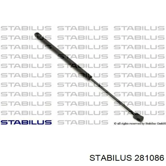 Амортизатор двері задньої Stabilus 281086 ціна, від 16.65 USD