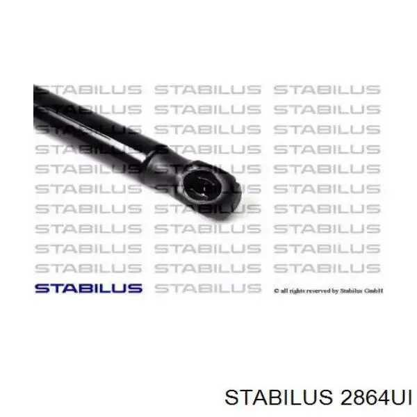 Амортизатор багажника 8823800 Starline