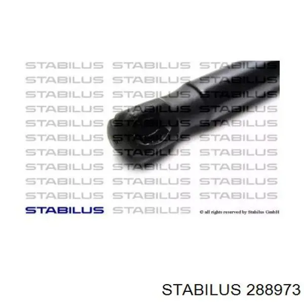 Купити 288973 Stabilus Амортизатор двері багажника