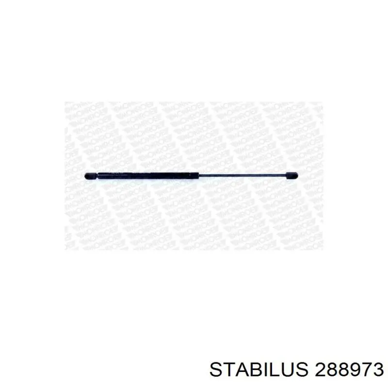 Амортизатор двері задньої Stabilus 288973 ціна, від 23.17 USD