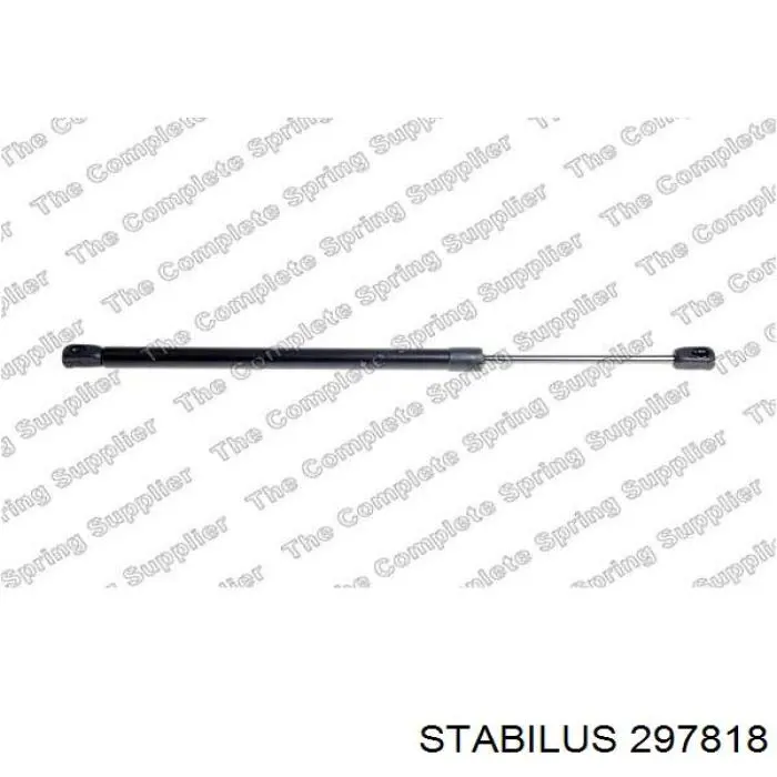 Купити 6006603 Tesla Амортизатор під капот
