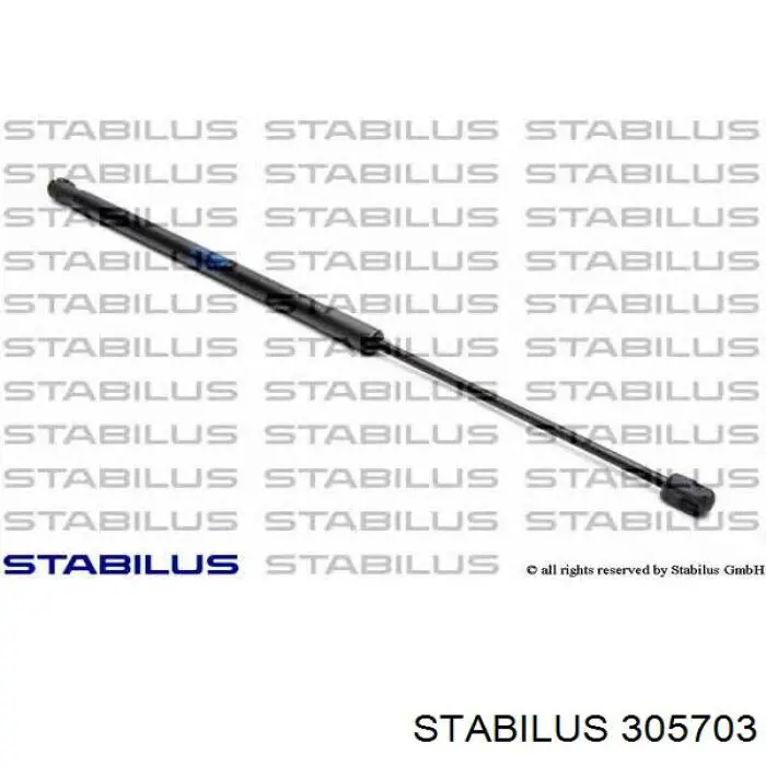 Амортизатор двері задньої Stabilus 305703 ціна, від 6.73 USD