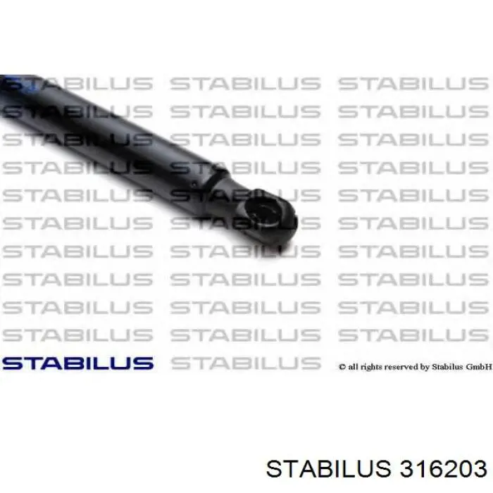 Купити 316203 Stabilus Амортизатор скла задніх, 3/5-ї двері (ляди)