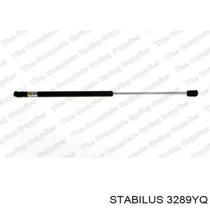 Купити 3289YQ Stabilus Амортизатор двері багажника