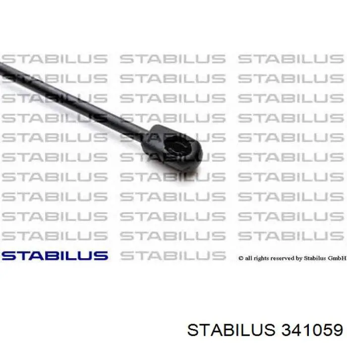 Купити 341059 Stabilus Амортизатор двері багажника