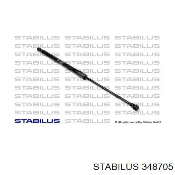 Амортизатор двері задньої Stabilus 348705 ціна, від 13.81 USD