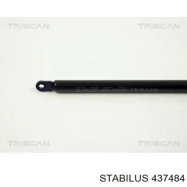 Амортизатор двері задньої Stabilus 437484 ціна, від 12.77 USD