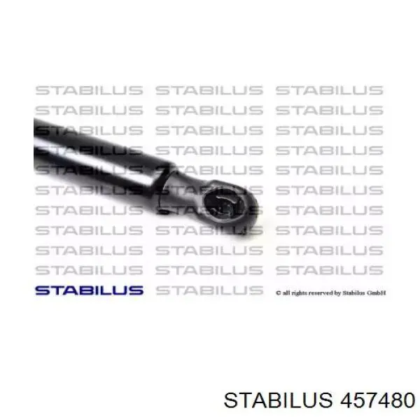 Амортизатор двері задньої Stabilus 457480 ціна, від 16.99 USD