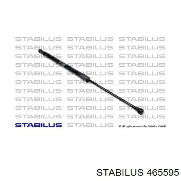 Амортизатор капота газовий Stabilus 465595 ціна, від 19.71 USD
