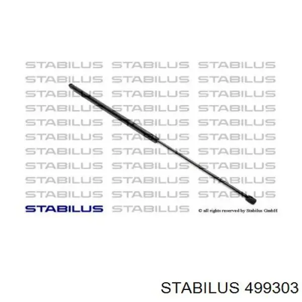 Амортизатор двері задньої Stabilus 499303 ціна, від 67.30 USD