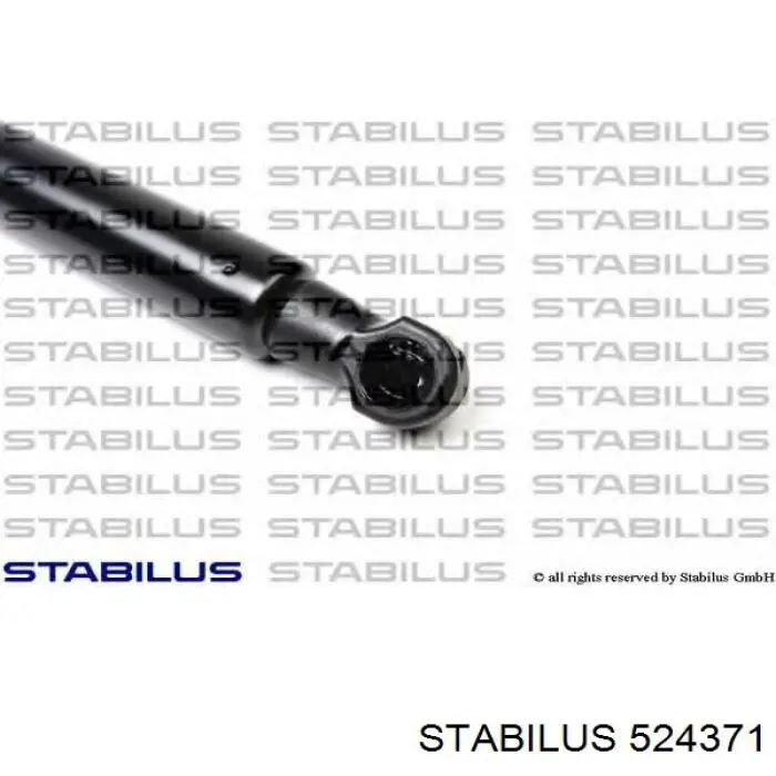 Амортизатор двері задньої Stabilus 524371 ціна, від 8.15 USD