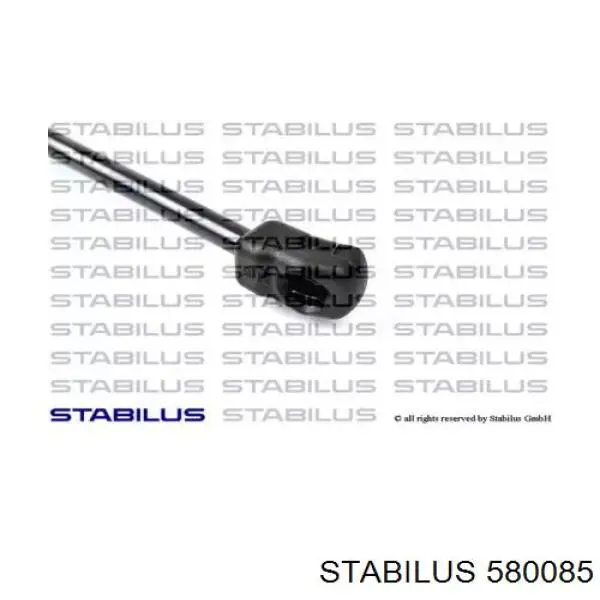  580085 Stabilus