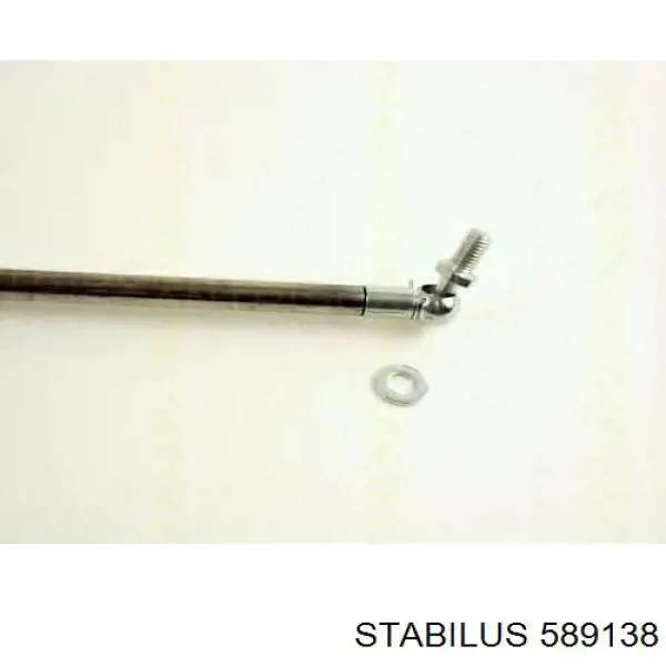  589138 Stabilus