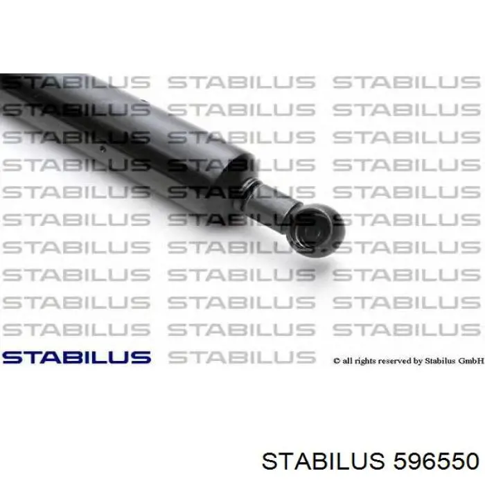 Амортизатор двері задньої Stabilus 596550 ціна, від 78.43 USD