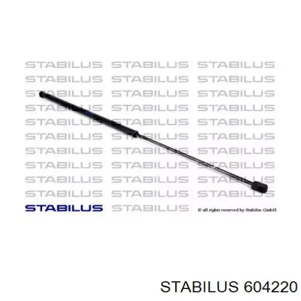 Амортизатор двері задньої Stabilus 604220 ціна, від 6.84 USD