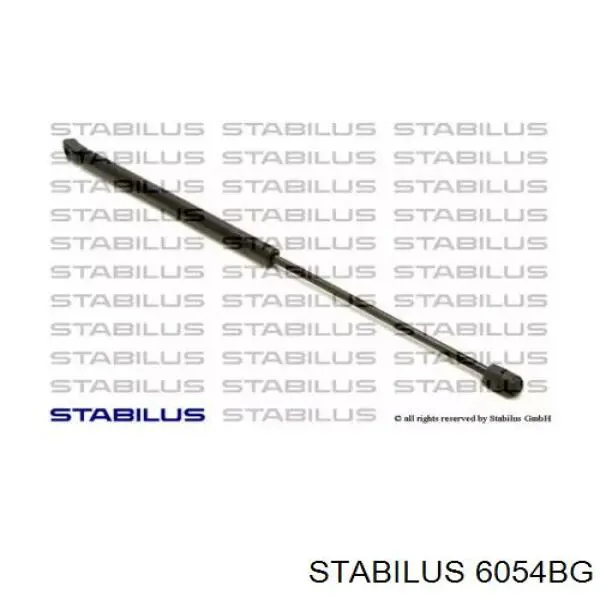 Амортизатор двері задньої Stabilus 6054BG ціна, від 7.43 USD