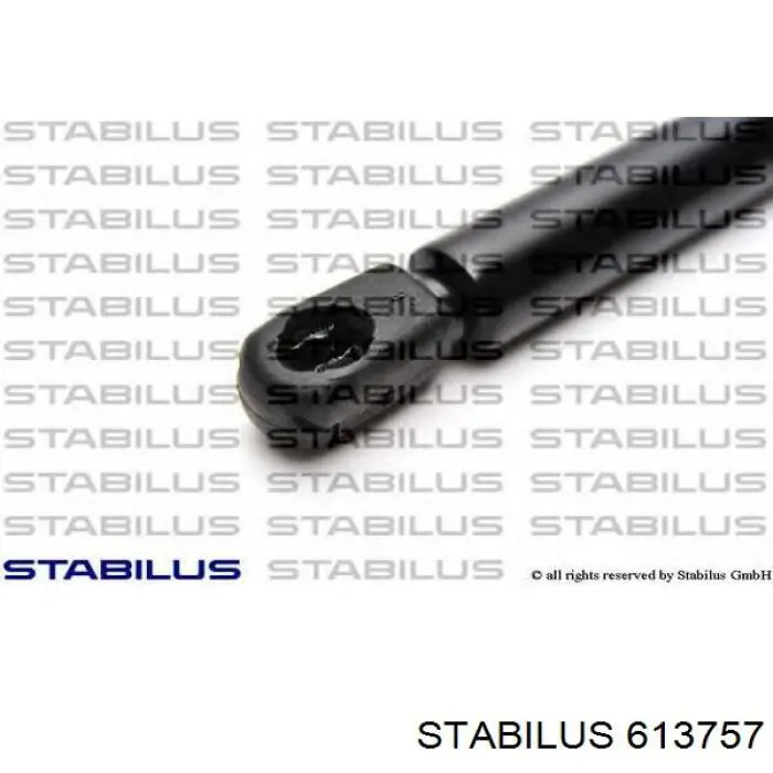 Амортизатор капота 613757 Stabilus
