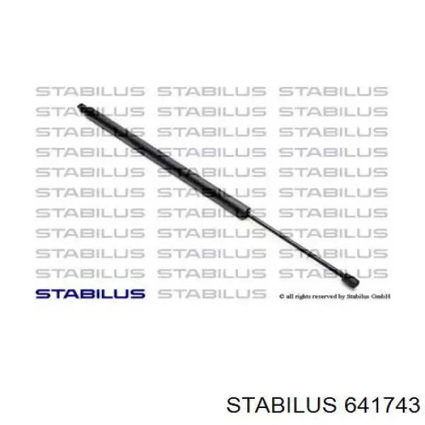 Амортизатор двері задньої Stabilus 641743 ціна, від 9.60 USD