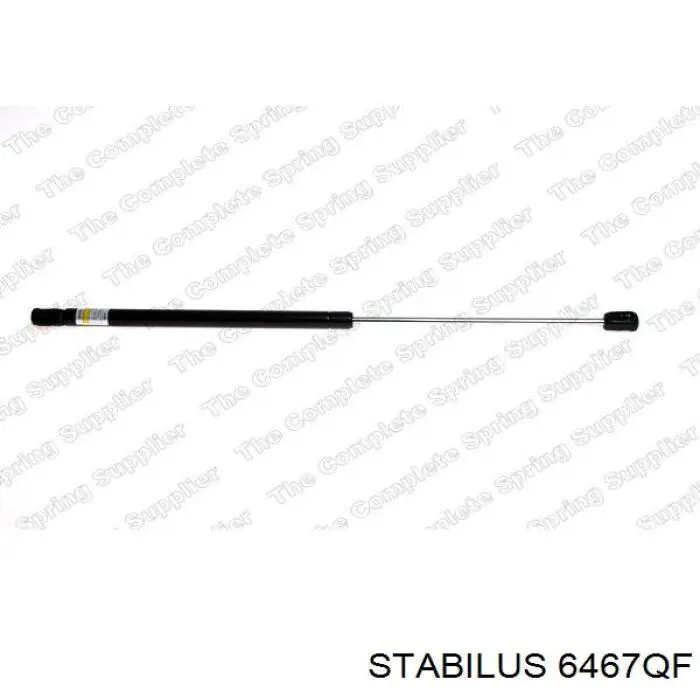 Амортизатор багажника 430719016800 Magneti Marelli