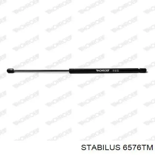 Амортизатор двері задньої Stabilus 6576TM ціна, від 12.45 USD