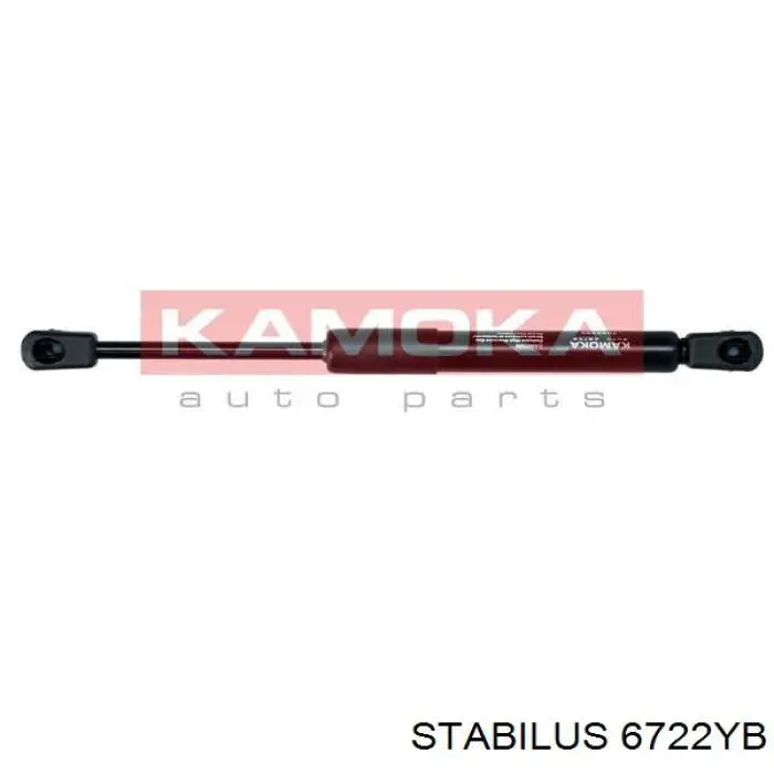Амортизатор двері задньої Stabilus 6722YB ціна, від 5.84 USD