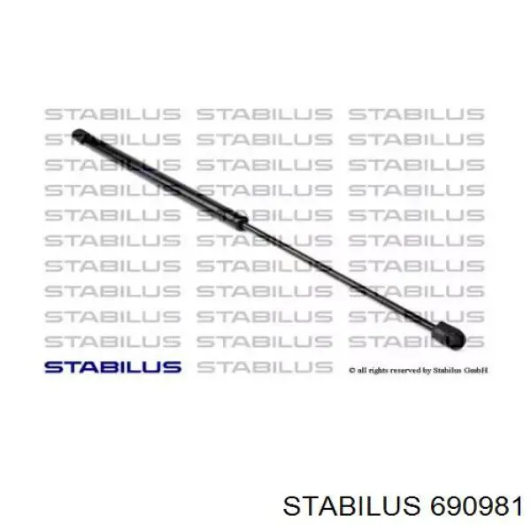 Амортизатор капота газовий Stabilus 690981 ціна, від 23.34 USD