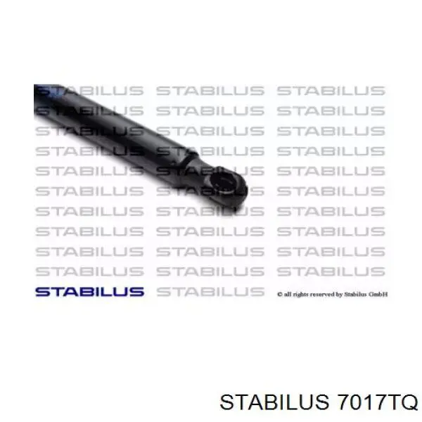 Амортизатор двері задньої Stabilus 7017TQ ціна, від 7.20 USD